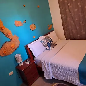 Galarous Island , Puerto Ayora (Galapagos Islands) Ecuador